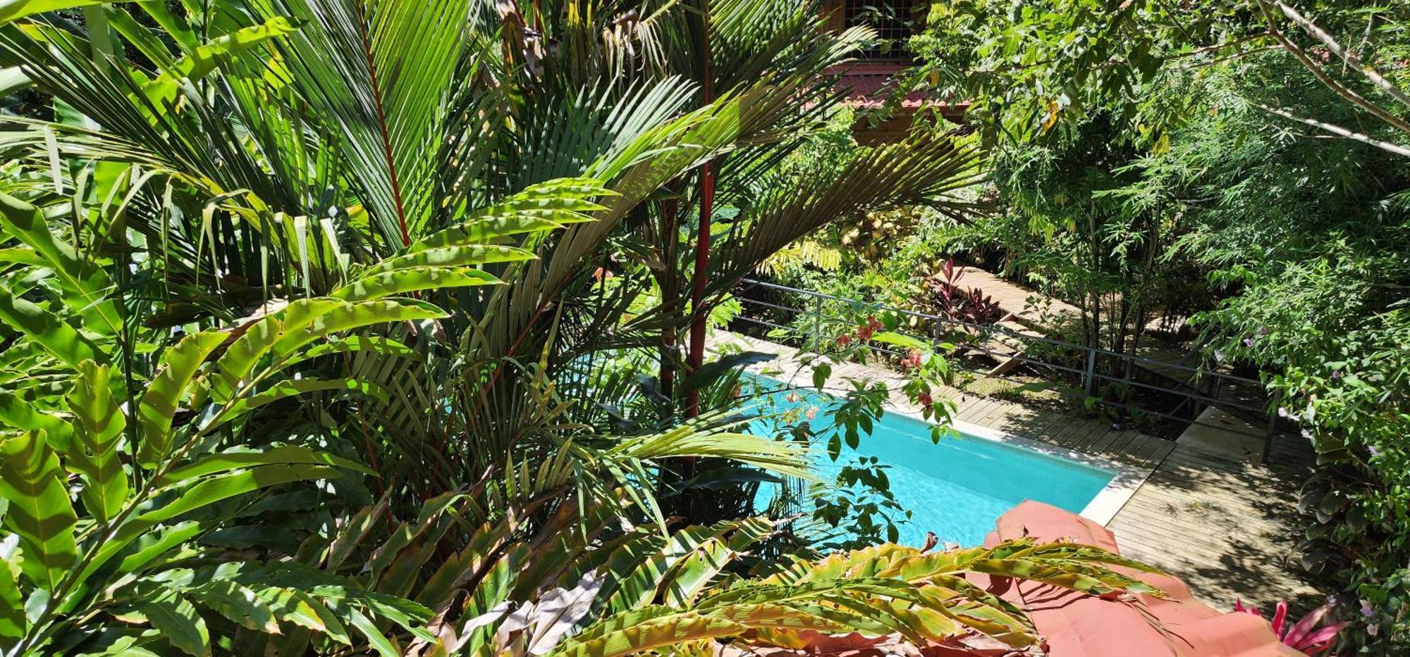 Boutique Hotel Y Spa Tangara Azul Ojochal Luaran gambar
